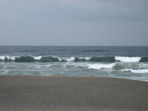 なんだろうねぇ・・・（３月１９日　水曜日）_e0056133_16365472.jpg