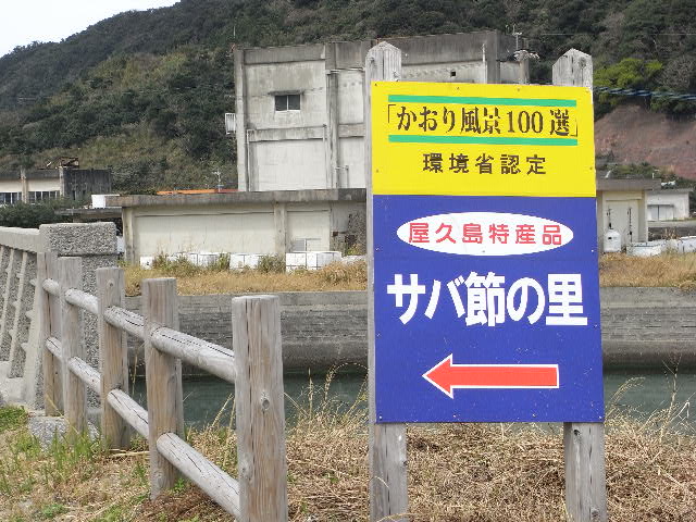 3月17日(月) This is ザ・遠洋漁業_d0082944_139294.jpg