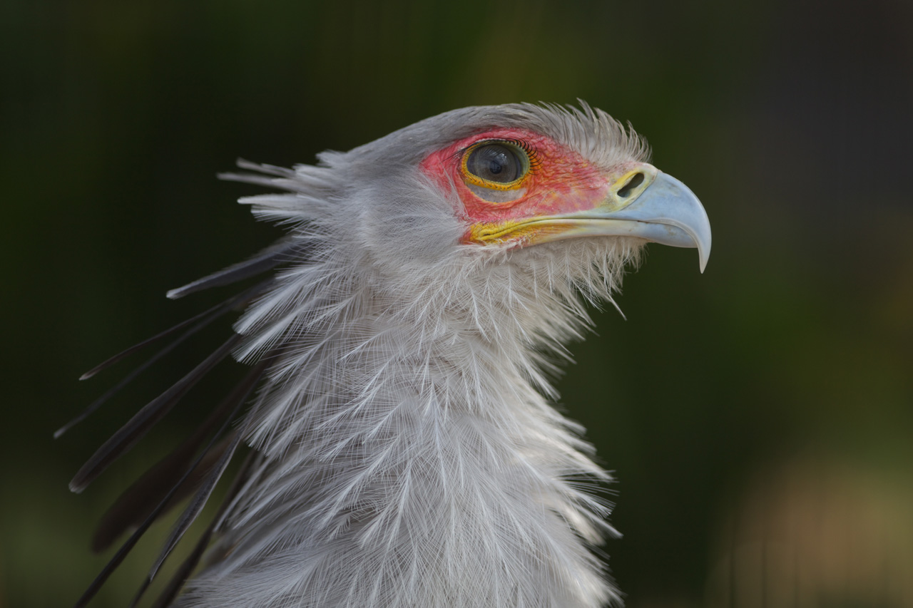 恩賜上野動物園71_e0060169_6511456.jpg