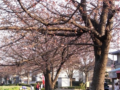 c0078480_16441664.jpg