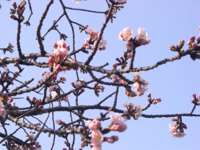 c0078480_16453189.jpg