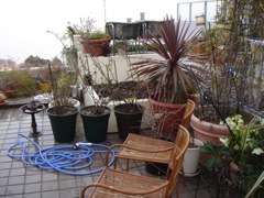 2008年3月18日 Spring has come! _b0098584_0205136.jpg