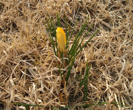 c0075585_0111376.jpg