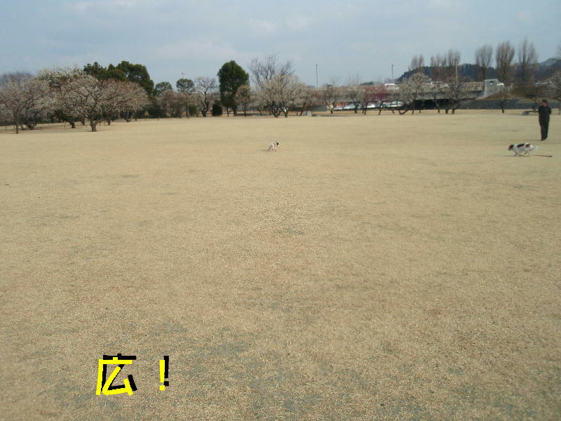 c0075585_0143155.jpg
