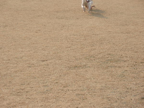 c0075585_0155591.jpg