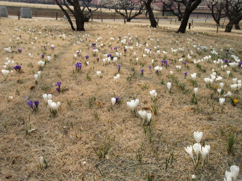 c0075585_07577.jpg