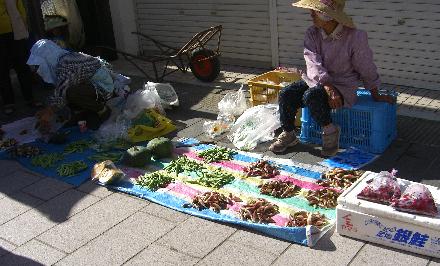 釣ってみたい魚ベスト10 後半_e0077899_8321590.jpg