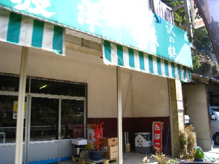 b0126408_1714095.jpg
