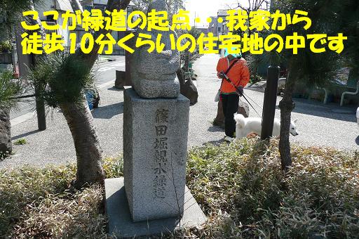 f0121712_22261168.jpg