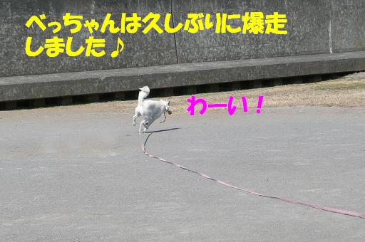 f0121712_22273010.jpg