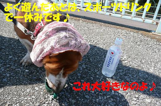 f0121712_2228367.jpg