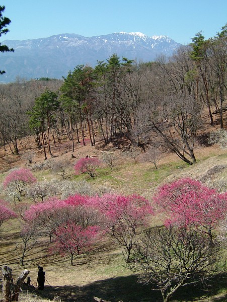 c0109827_1515387.jpg