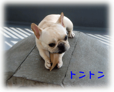 b0078030_046794.gif