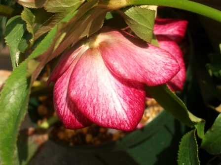 c0025140_14344035.jpg