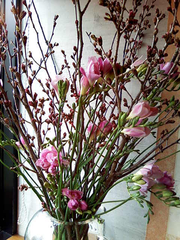 d0122040_1365334.jpg