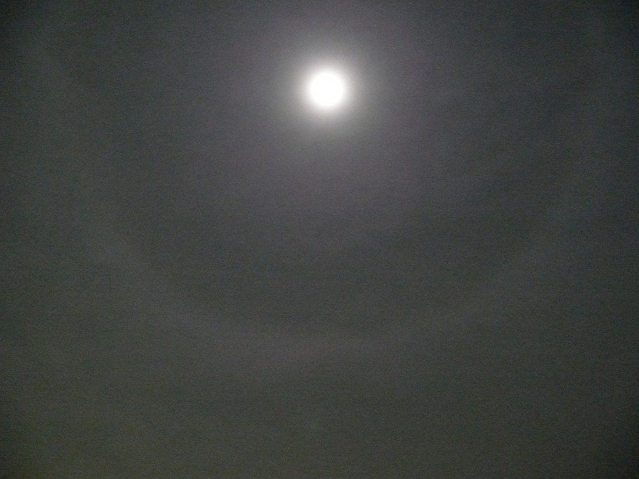 b0088444_001933.jpg