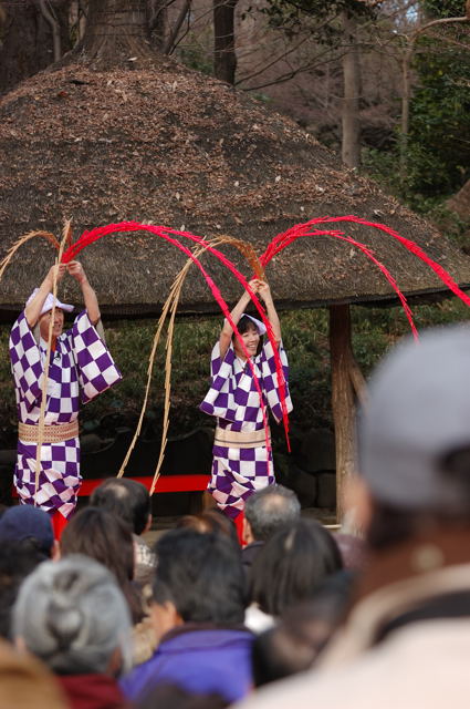 大江戸大道芸_c0081462_10352549.jpg