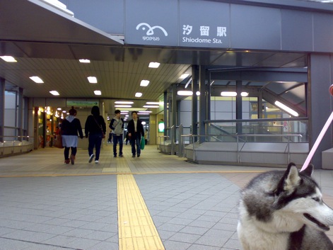 【urban Dock or urban DOG?　】_d0087675_11463789.jpg