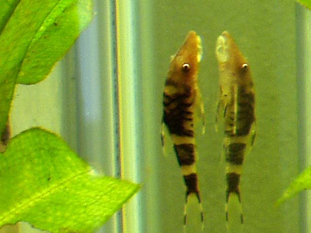 c0102086_20344574.jpg