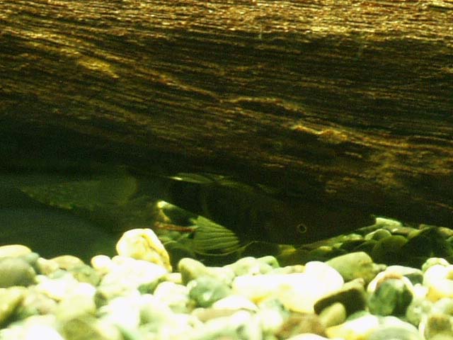 c0102086_20395640.jpg