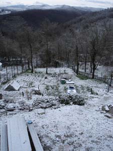3月の雪 パート2_f0106597_1919665.jpg