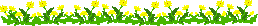 c0090198_2591439.gif