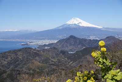 f0155707_1623792.jpg