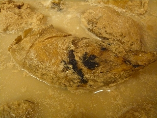 竹の子の醤油焼き_f0157910_1525312.jpg