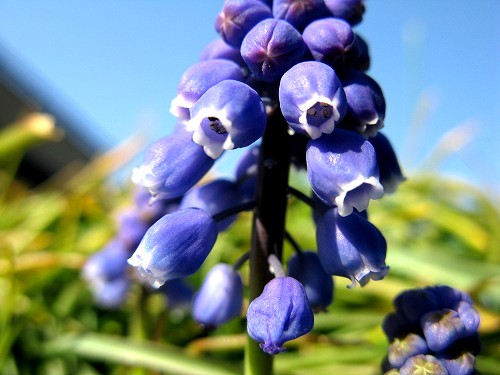 e0072023_2014135.jpg