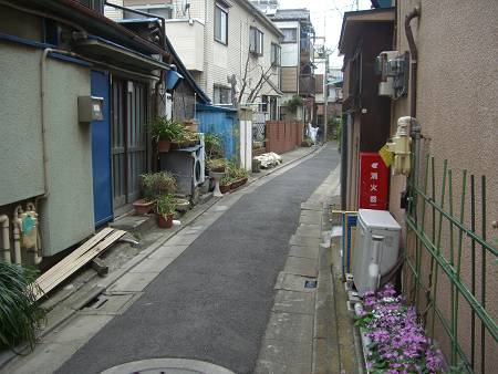 d0065324_10314187.jpg