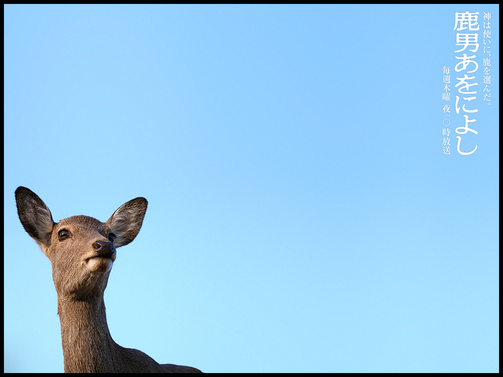 一流の品質 鹿男様専用 宿泊券 Orointegrated Coop