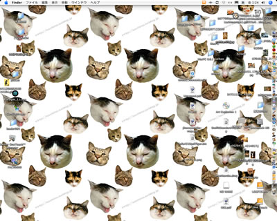 デスクトップをヨウカンだらけにしよう【リクエストにお応えして】_a0028451_1404636.jpg
