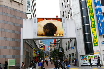 ヨウカンさん、渋谷デビュー!【3/24動画追加しました】_a0028451_16101875.jpg