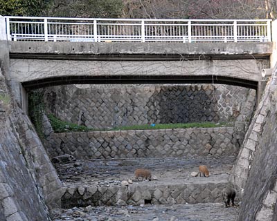 e0035757_2256365.jpg