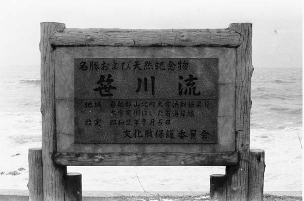 e0019563_21334281.jpg