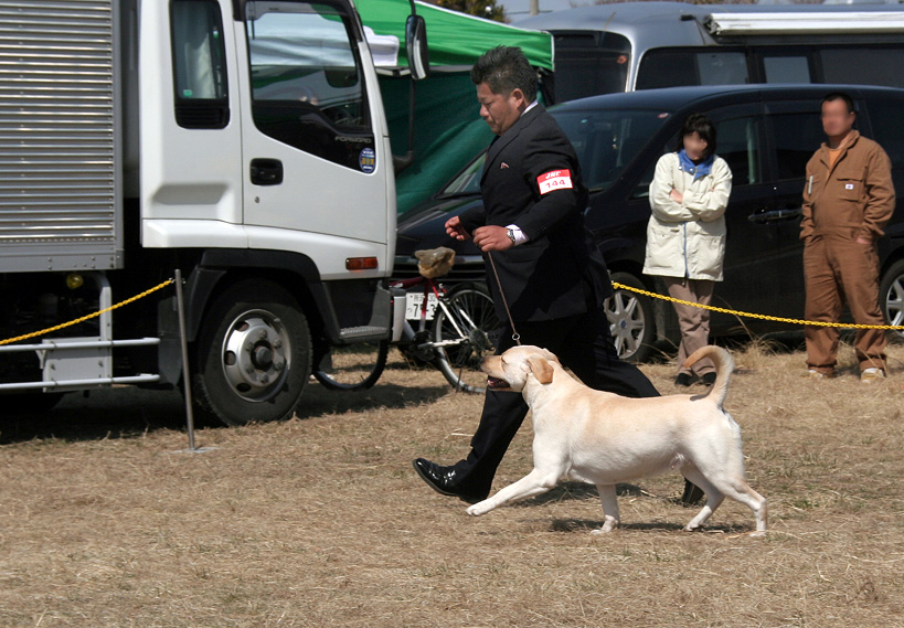 茨城鹿行愛犬クラブ展_d0151813_2256866.jpg