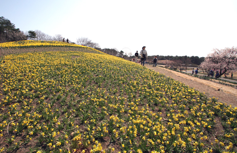 茨城鹿行愛犬クラブ展_d0151813_22591873.jpg