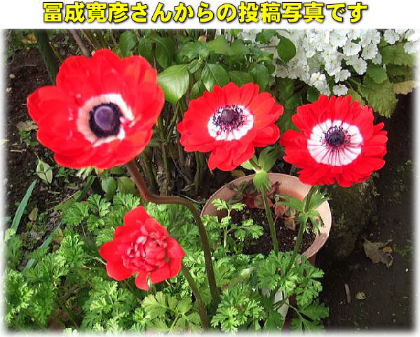 d0070316_19183999.jpg
