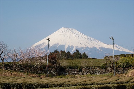 今日の富士山_a0087927_1884892.jpg