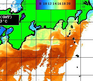 野島沖に黒潮のフチ　御前崎沖に反転流が　　　　　　[カジキ・マグロトローリング]_f0009039_3363524.jpg