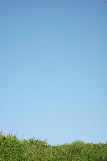Blue Sky_b0016049_024949.jpg