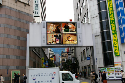 ヨウカンさん、渋谷デビュー!【3/24動画追加しました】_a0028451_10151512.jpg
