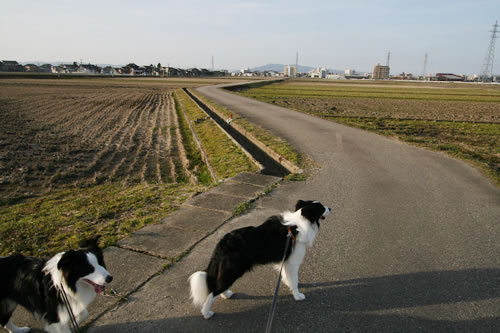 犬散歩＿スポーツコア_a0077764_1827253.jpg