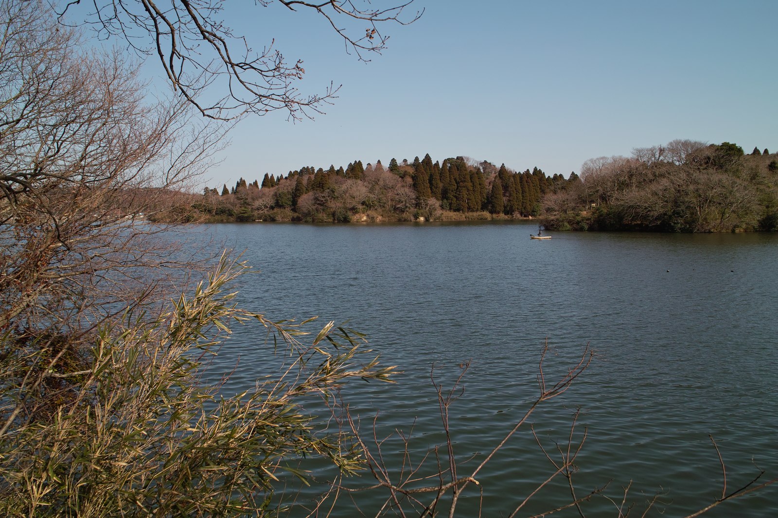 e0071178_20471571.jpg