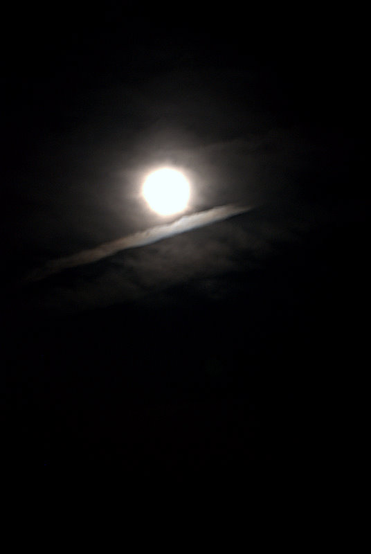 a0105281_20532759.jpg