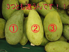 ☆タイのマンゴー☆_f0144385_15213444.jpg