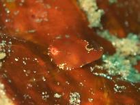 f0151886_1957566.jpg