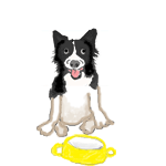 f0114893_1495438.gif