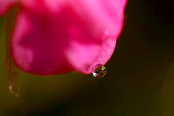 d0025894_0374659.jpg