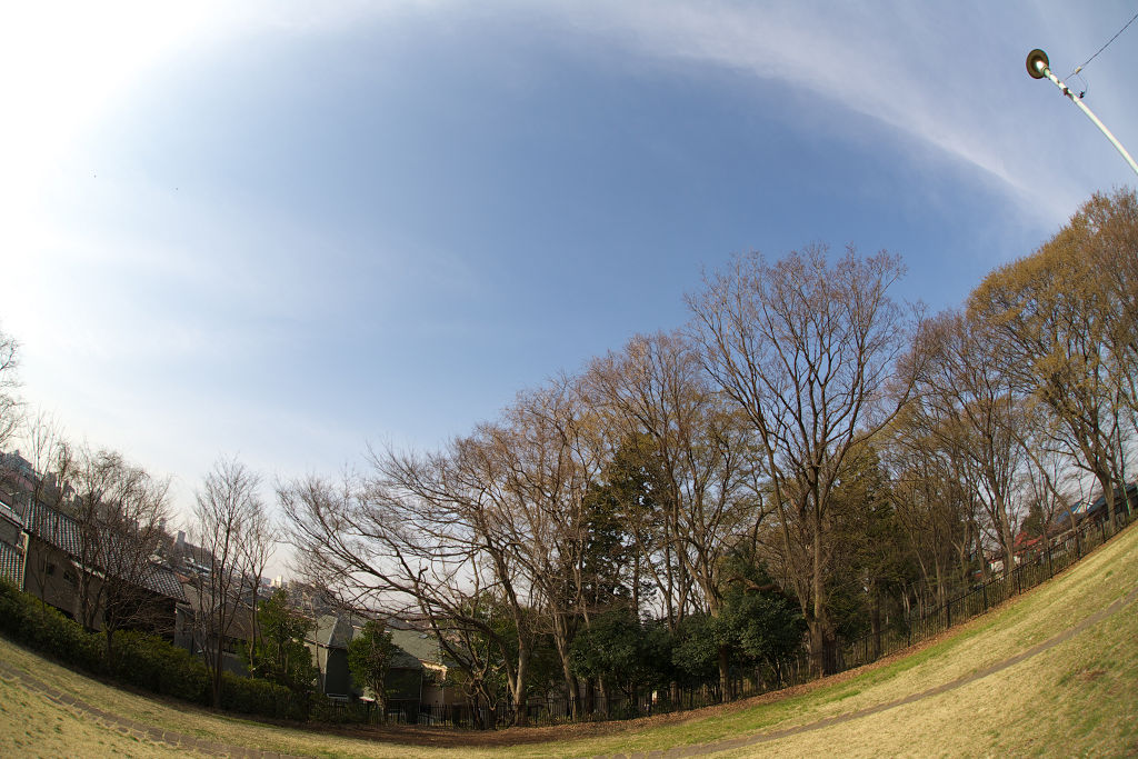 2008年3月23日　15mm FISHEYE_a0060403_14122977.jpg